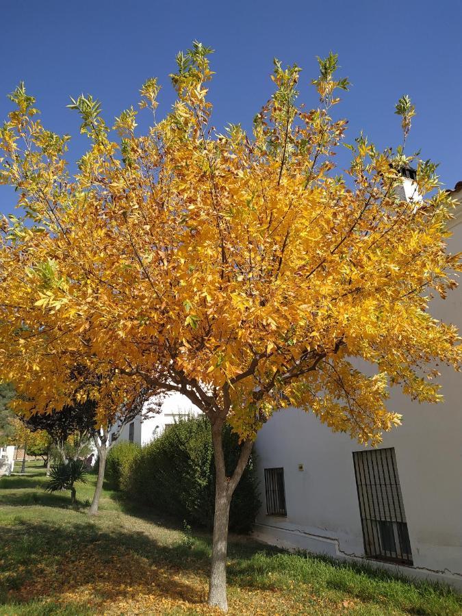 Villa La Casa De Elias Aracena Esterno foto